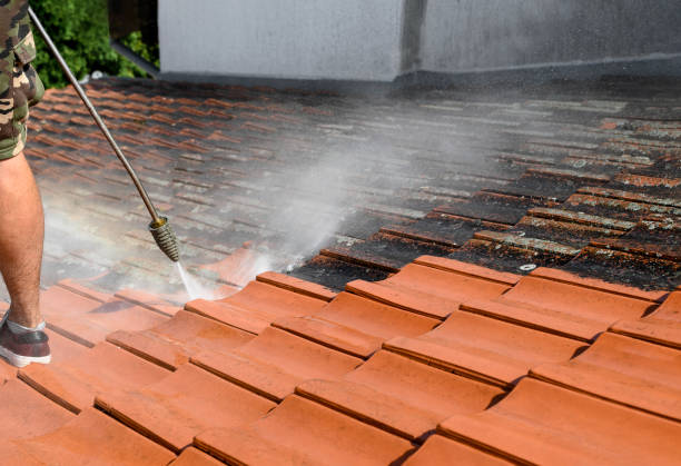 Best Deck Cleaning Services  in Ocala Estates, FL