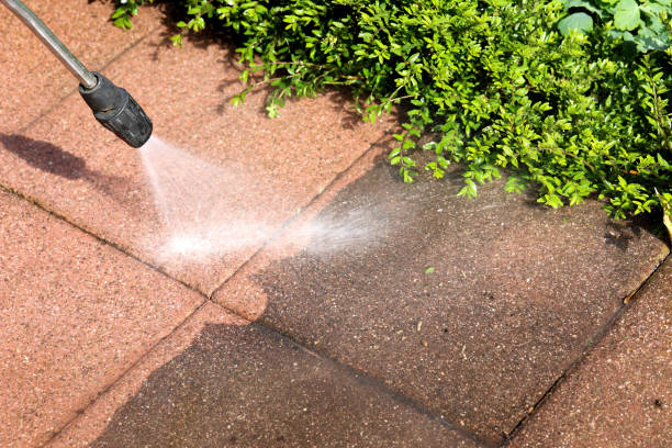 Best Pressure Washing Near Me  in Ocala Estates, FL